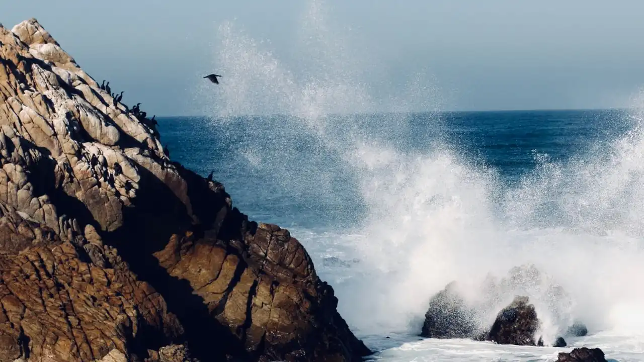 赖康恭头像