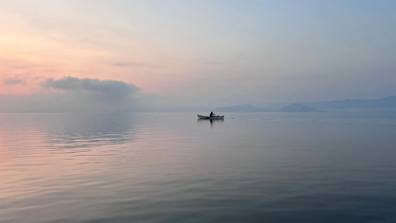 jm浏览器网页版登录怎么操作？有哪些常见问题