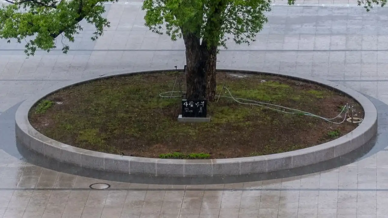 老婆骚老公是什么意思及相关说明