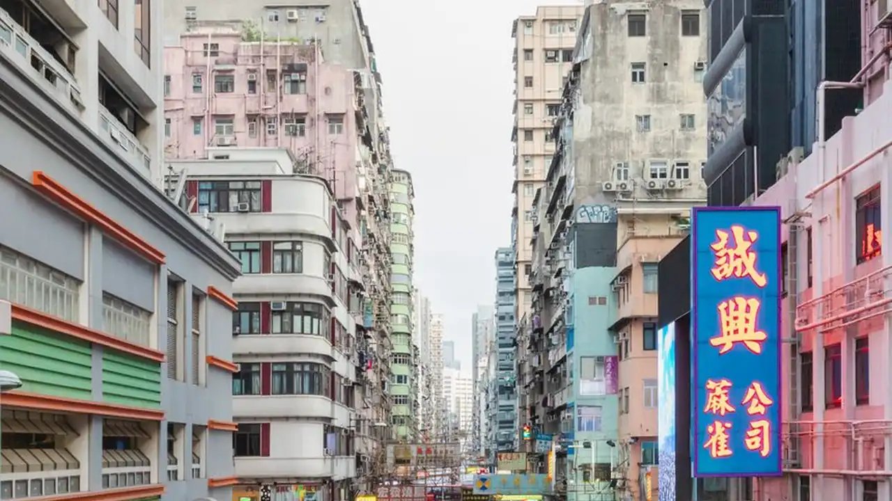 微风成人平台使用分析与选择建议