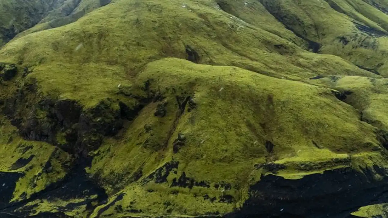 寻找“砰砰砰砰砰在线观看免费完整版视频”的可靠途径与避坑指南